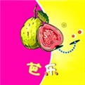 蕾丝榴莲秋葵向日葵丝瓜黄瓜最新版