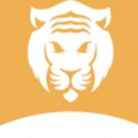 月夜直播视频高清免费版