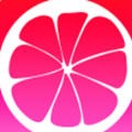 91视频app下载安装无限看资源链接