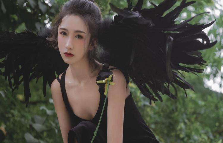 观众接受度的广泛性
