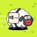 这关不太难下载安装免费版